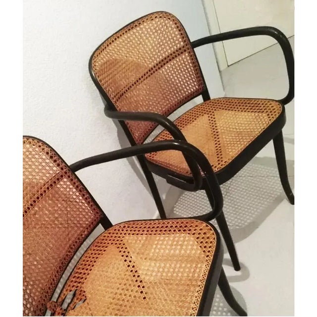 Wood Set of Vintage Bentwood Chairs by Josef Hoffmann, 1930 For Sale - Image 7 of 7