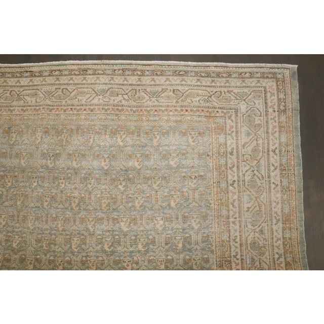 An early 20th-century Persian Tabriz rug sporting an all-over repetitive paisley pattern on a mint green field