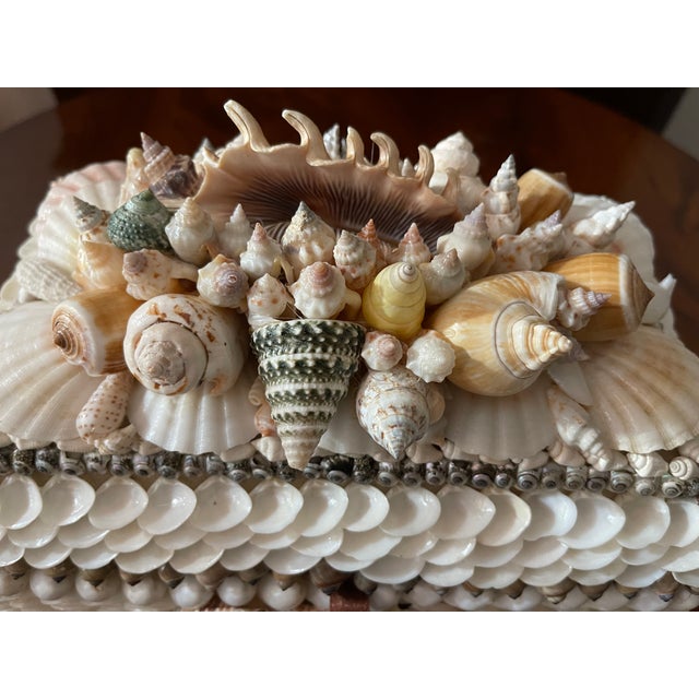1970s Elegant Coastal Sea Shell Jewelry Treasure Box For Sale - Image 4 of 5