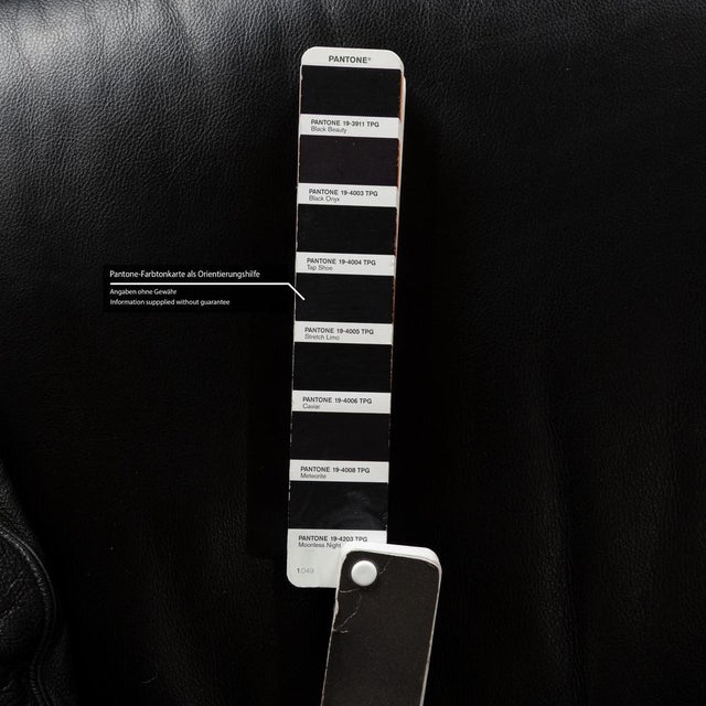 Arca Leather Two-Seater Sofa from B&B Italia For Sale - Image 9 of 13