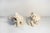 Pair of polychrome ceramic elephant sculptures. Designer Silvio Righetto Manufacturer Cacciapuoti 1950s 12x9x11 cm...