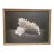 Large Coastal Gee Clay, Framed For Sale
