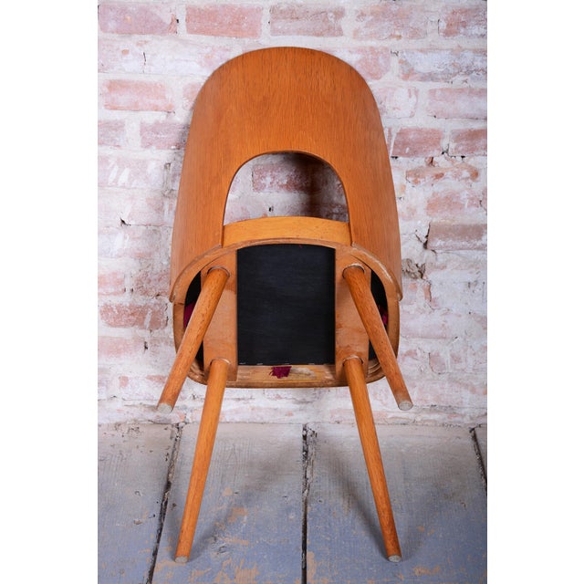 Mid-Century Beech Chairs by O. Haerdtl, Czech, 1950s, Set of 4 For Sale - Image 15 of 18