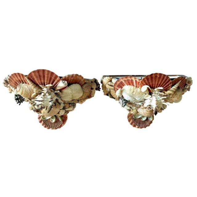 Terra Cotta Vintage Pair of Shell-Encrusted Wall Sconces For Sale - Image 8 of 13
