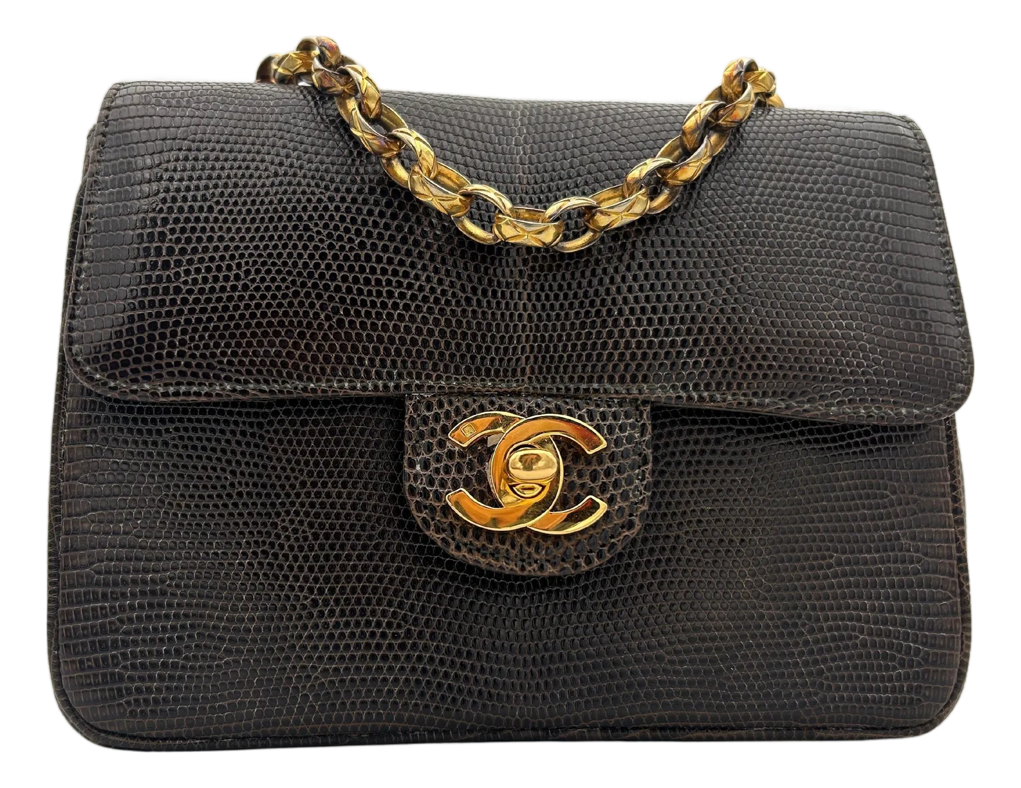 Chanel Brown Classic Lizard Leather Flap Bag 1996 | Chairish