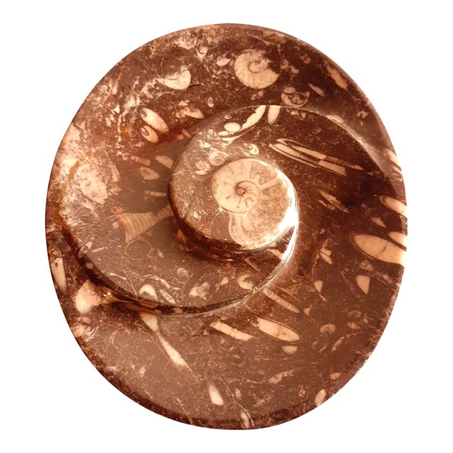 Vintage Polished Black Orthoceras and Ammonite Fossil Divided Bowl For Sale