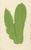 Mid 19th Century Edward J. Lowe, Ferns, 1856, Lithographs, Set of 10 For Sale - Image 5 of 14