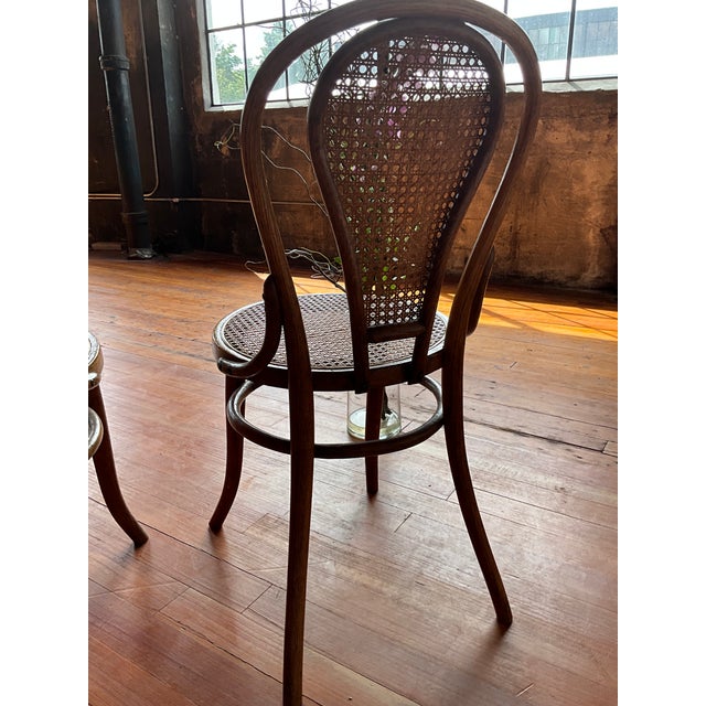 Wood Thonet Style Bentwood Cafe Chairs, Set of 2 For Sale - Image 7 of 12