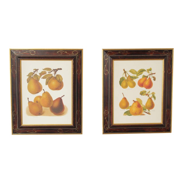 Chelsea House Decorative Pair of Pear Prints For Sale