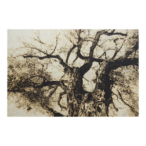 Late 20th Century Sepia Cyanotype Tree Photograph