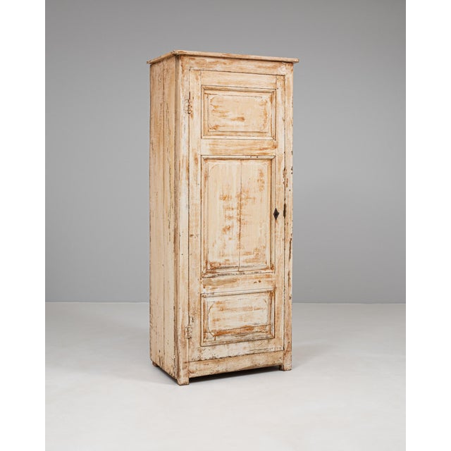 Wood 19th Century French Wood Patinated Cabinet For Sale - Image 7 of 12
