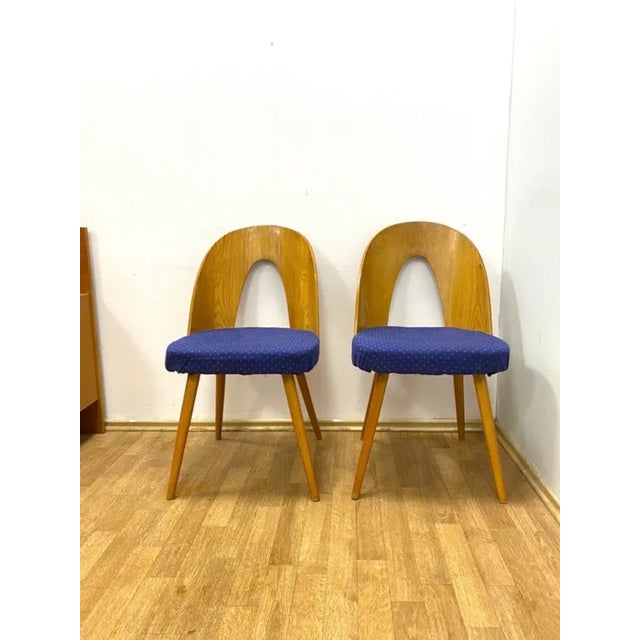 These iconic retro chairs were produced in the Czechoslovak Republic in the 1960s by TON and designed by Antonín Šuman....