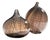 Filigrana Glass Vases by Hertha Bengtson and Mario Colelli for Rosenthal, 1980s, Set of 2 For Sale