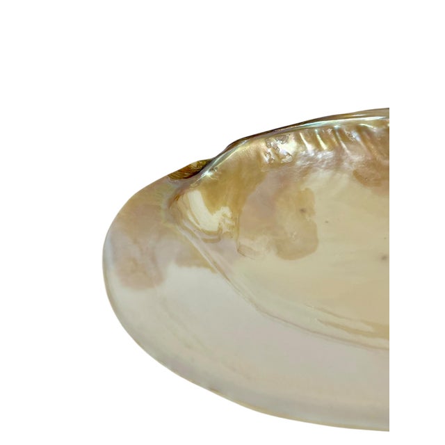 1980s Vintage Polished Shell Caviar Footed Serving Dish Plate For Sale - Image 5 of 12