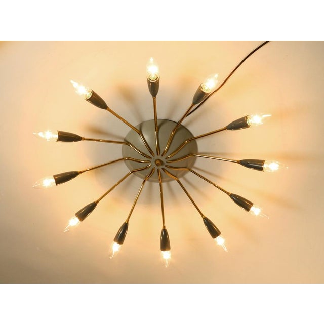 Large Mid-Century Modern 12-ArmedBrass Sputnik Ceiling Lamp, 1950s For Sale - Image 4 of 17