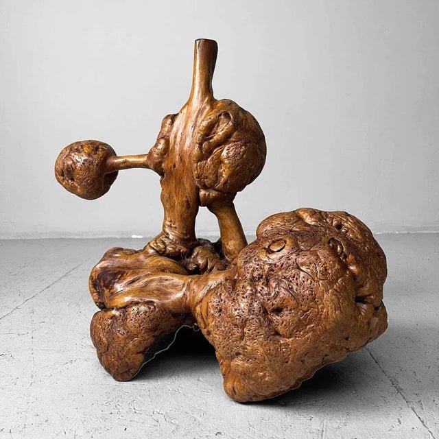 Japanese Meiji Wabi-Sabi Burl Wood Piece For Sale - Image 12 of 13