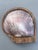 1950s Alexander Noll Carved Wood & Mother of Pearl Lidded Cigarette Box For Sale - Image 4 of 13