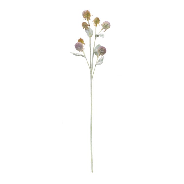 Enhance your home decor with the natural charm of this Thistle Spray Set! Featuring delicate purple and sage green hues,...