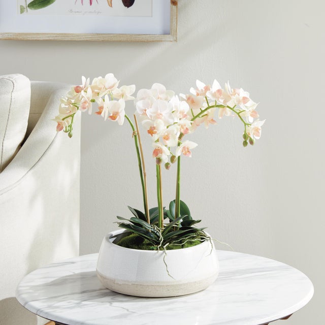 Early 21st Century Phalaenopsis 16" Mini Garden Drop-In For Sale - Image 5 of 8