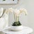 Early 21st Century Phalaenopsis 16" Mini Garden Drop-In For Sale - Image 5 of 8
