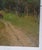 Original Ukrainian Impressionism Painting: Woodland Scenery, 1962 60-50 For Sale - Image 4 of 10