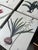 Up for consideration is a beautiful vintage collection of signed floral prints on canvas. These would look lovely in your...