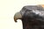 Brown Vintage Sarreid Ltd. Hooded Falcon on Fist Sculpture | Hand-Carved Wood & Brass | Made in Spain, Circa 1970s For Sale - Image 8 of 16