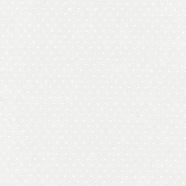 Sample - Schumacher Rosabel Dot Sheer Fabric in White For Sale