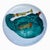 1950s Fornasetti for Bucciarelli Milano Porcelain Coaster For Sale - Image 5 of 6