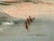 Title: Henry Emil Salloch Original Pastel on Paper Les Islets, 1957. For Sale In Atlanta - Image 6 of 8