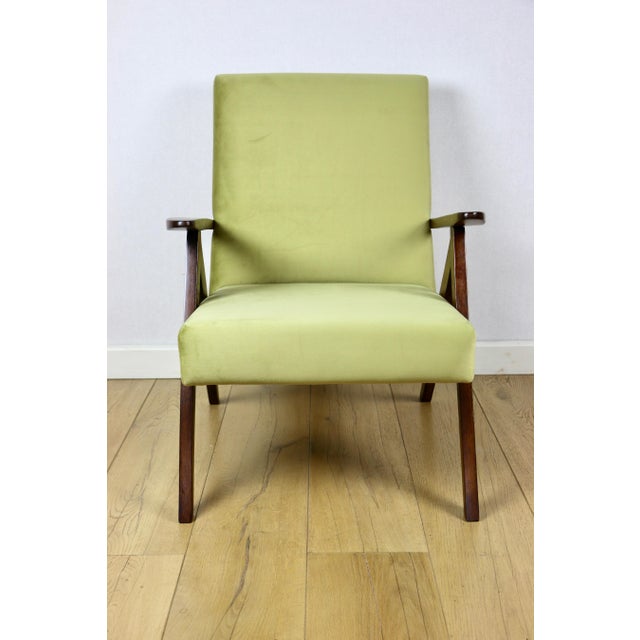 Olive B-310 Var Armchair in Green Olive Velvet, 1970s For Sale - Image 8 of 8