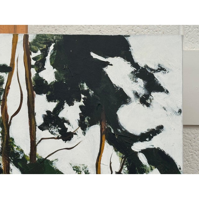 Tall Riverside Pine Trees in the English Countryside with dappled light & water 2009 For Sale - Image 16 of 16
