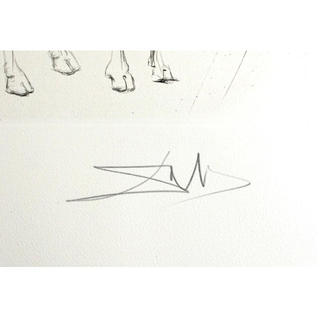 Dali Hamadryades Mimetiques Arborescentes H/Sig Etching Dali Archives Certified For Sale - Image 4 of 7