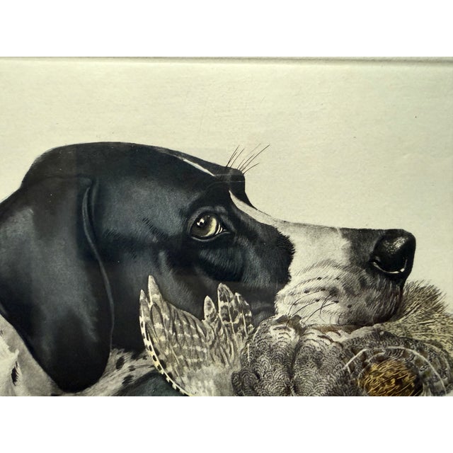 Framed Colored Etching of English Pointer Dog With Partridge, by Boris Riab, C 1940s For Sale - Image 9 of 9