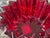 MARQUIS By WATERFORD Ruby Red Star Bowl.
