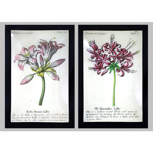 This elegant glass plate, signed by the renowned John Derian, is a rare find likely purchased from Bergdorf Goodman in New...