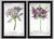 This elegant glass plate, signed by the renowned John Derian, is a rare find likely purchased from Bergdorf Goodman in New...