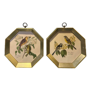 Vintage Pair of Bird Prints in Octogon Shaped Frame -2