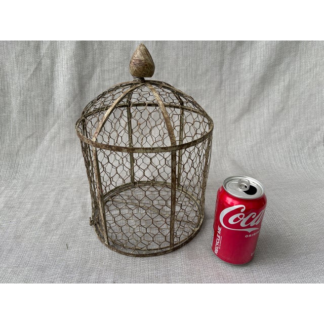 Vintage Indoor Wire Birdcage Garden Cloche For Sale - Image 16 of 17