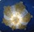 Amber 1960s Italian Clear and Amber Graniglia Murano Flush Mount For Sale - Image 8 of 9