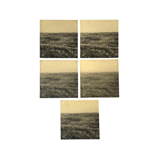 Gerry Hunt, Viewpoint Dima's Head & Seagrass, Photographs Mounted on Wood Panels, 1977, Set of 5 For Sale - Image 11 of 11