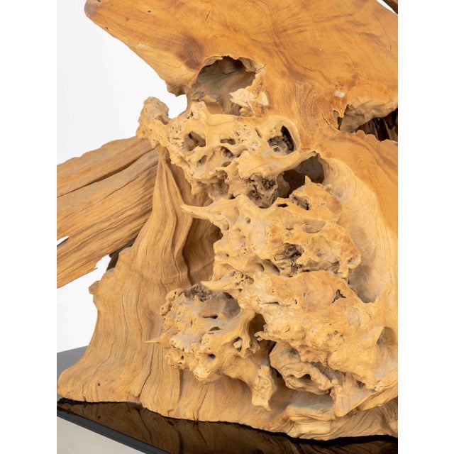 1990s Dale Zarrella Portrait Driftwood Sculpture, 1996 For Sale - Image 5 of 18