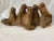 Stone Animal Seals Sculpture For Sale - Image 9 of 9