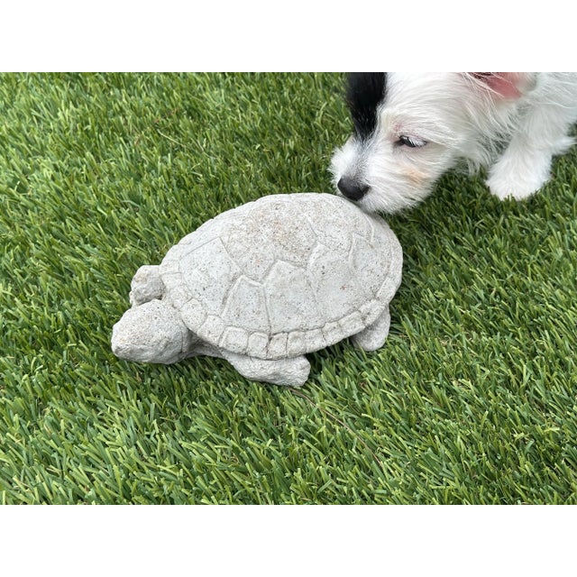 Cast Stone Turtle Garden Ornament For Sale - Image 4 of 10
