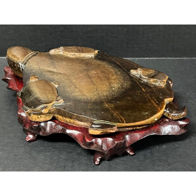 Stone Chinese Art Carved Tiger Eye Stone Turtle Sculpture on Wooden Display Stand For Sale - Image 7 of 11