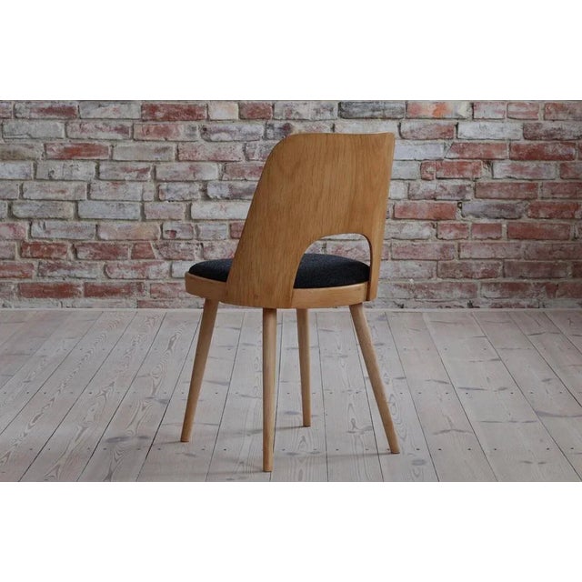 Dining Chairs by Oswald Haerdtl, 1950s, Set of 6 For Sale - Image 10 of 18