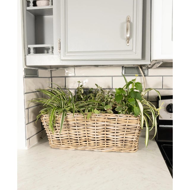 Wood Artifacts Rattan Rectangular Planter with Black Plastic Insert, Natural, 20"X8" For Sale - Image 7 of 9