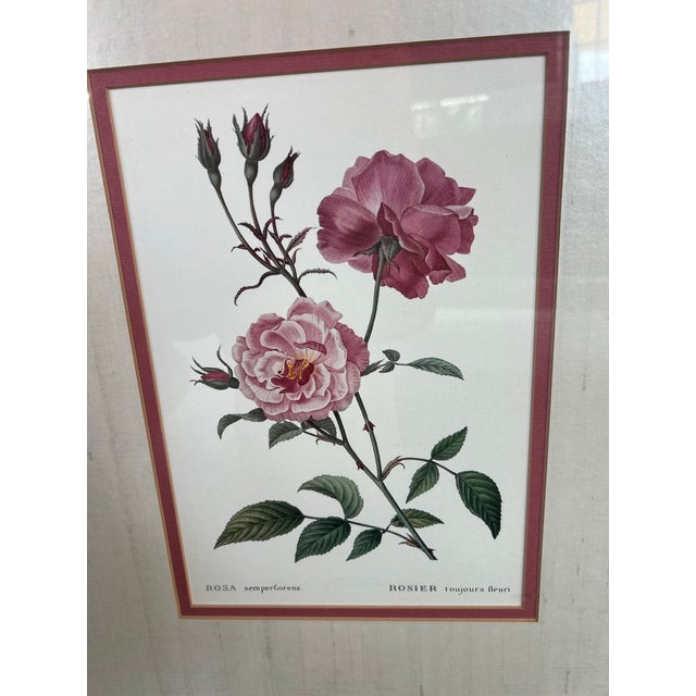 These are a pair of vintage botanical Framed and Double matted art prints featuring rose illustrations by Pierre-Joseph...