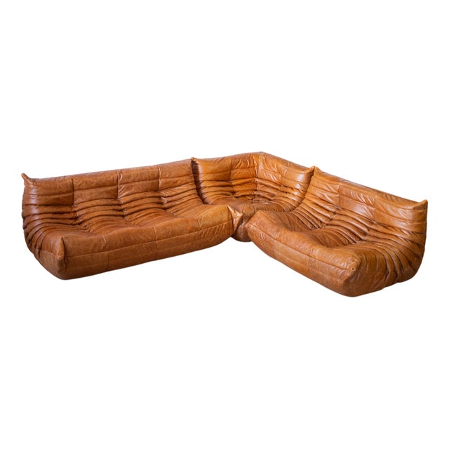 Togo Corner Chair and Three-Seat Sofa in Camel Leather by Michel Ducaroy for Ligne Roset, Set of 3 For Sale