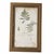 English Vintage Botanical Fern Framed Print - A Pair For Sale - Image 3 of 4